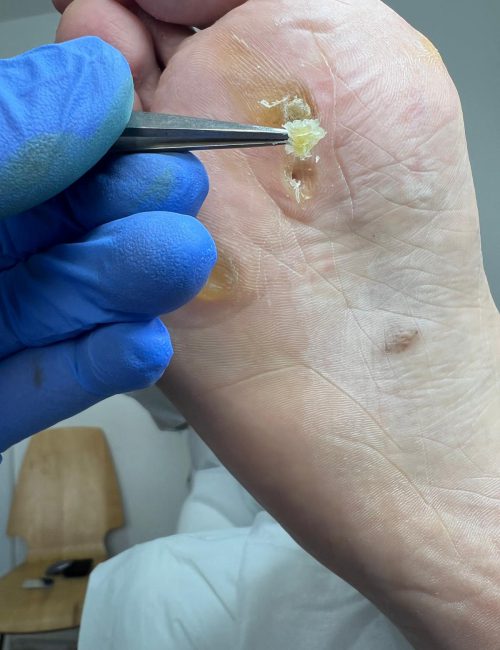 תמונה של WhatsApp‏ 2025-08-31 בשעה 17.34.53_3f1d65db