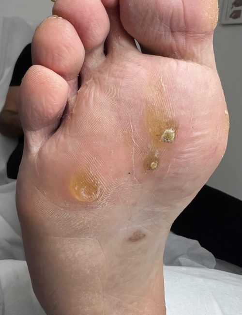 תמונה של WhatsApp‏ 2025-08-31 בשעה 17.34.53_6fc0514e